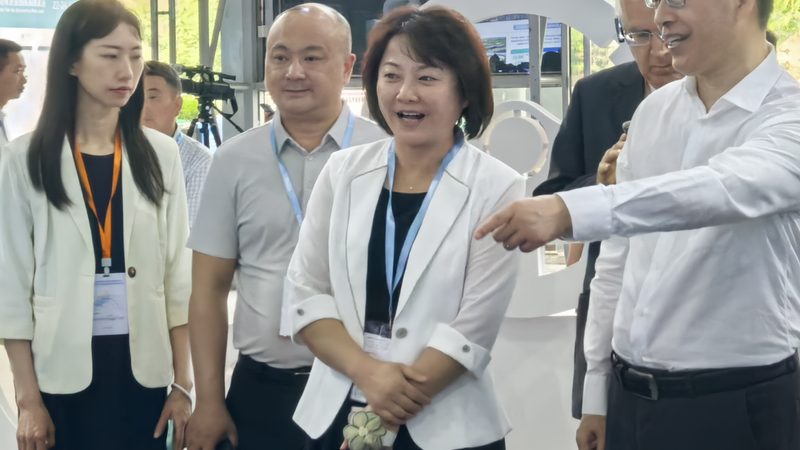 汽车尾翼加盟代理：揭秘行业潜规则与加盟要点